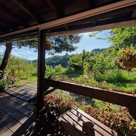 O Cantinho De Coura - A Cabana Паредеш-де-Кора Екстер'єр фото