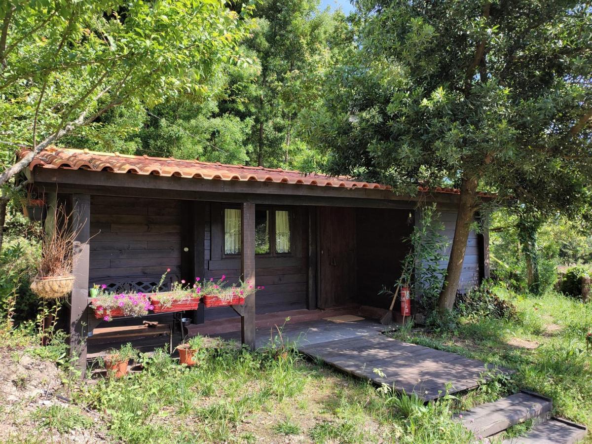 O Cantinho De Coura - A Cabana Паредеш-де-Кора Екстер'єр фото