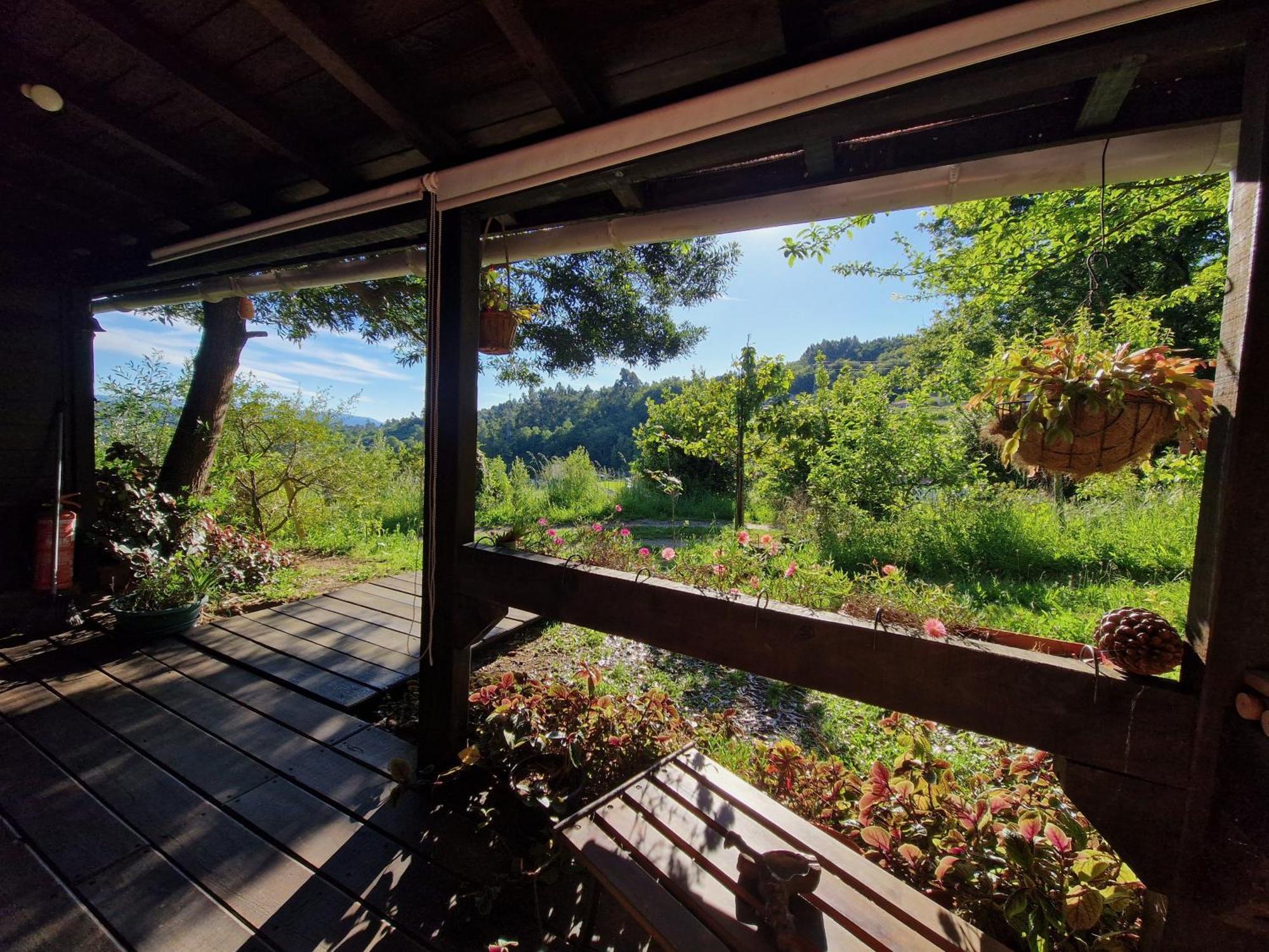 O Cantinho De Coura - A Cabana Паредеш-де-Кора Екстер'єр фото