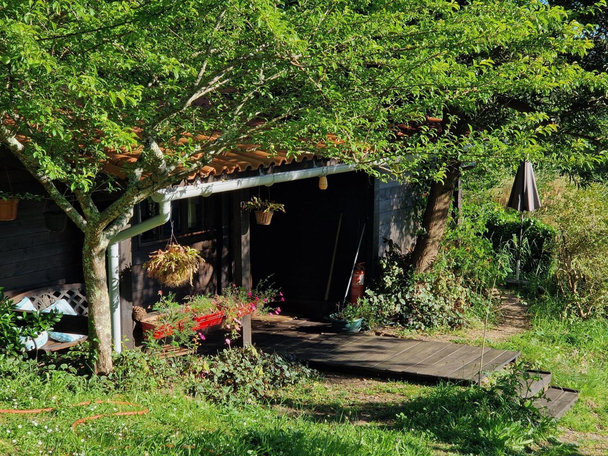 O Cantinho De Coura - A Cabana Паредеш-де-Кора Екстер'єр фото