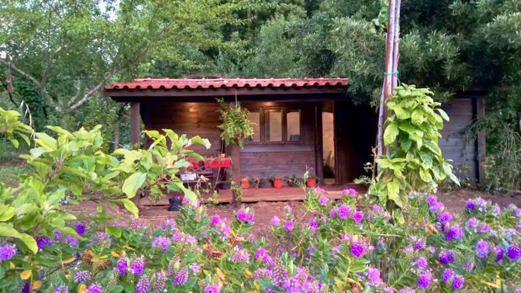 O Cantinho De Coura - A Cabana Паредеш-де-Кора Екстер'єр фото
